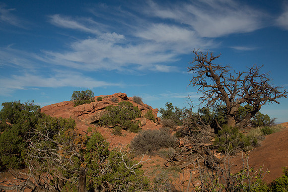 Canyonlands 2