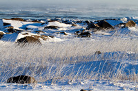 Along Hudson Bay