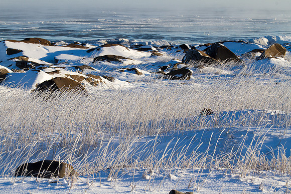 Along Hudson Bay