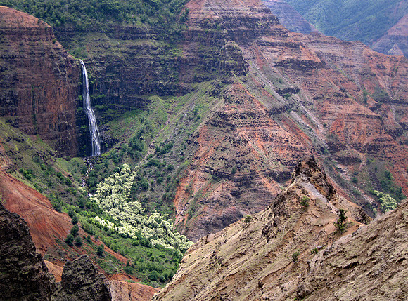 Canyon Falls