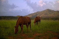 Kapaa Ranch