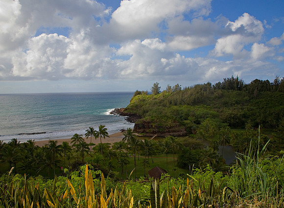 Botanical Gardens Overlook
