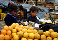 Market - Latacunga (2)
