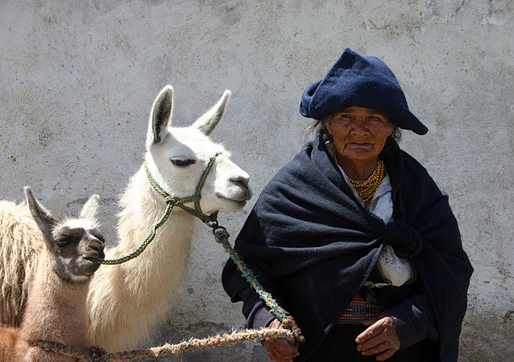 Woman and Llama