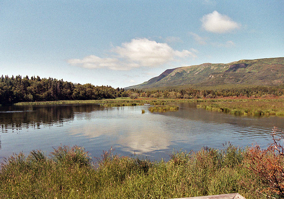 The Lake at Katmai