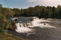 Brooks Falls 11