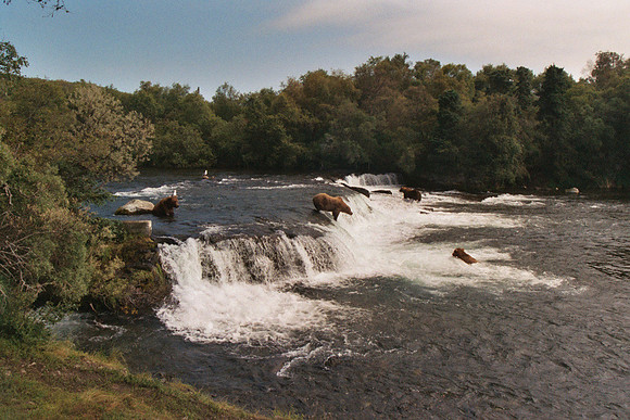 Brooks Falls 11