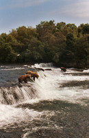Brooks Falls 12