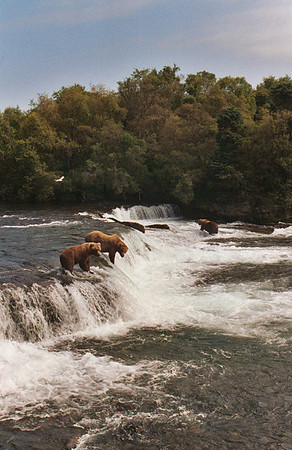 Brooks Falls 12