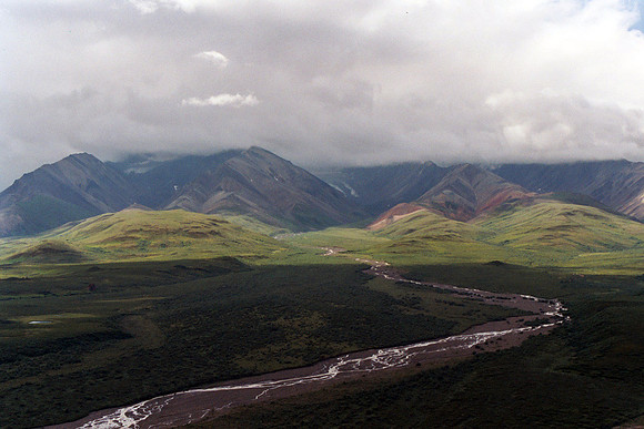 Denali 12