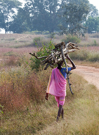 Carrying Firewood