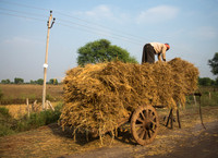 Adjusting the Load