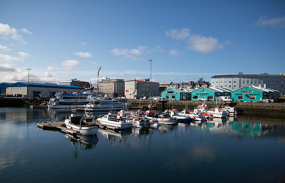 Reykjavik Harbor 1