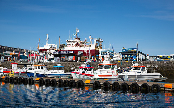 Reykjavik Harbor 2