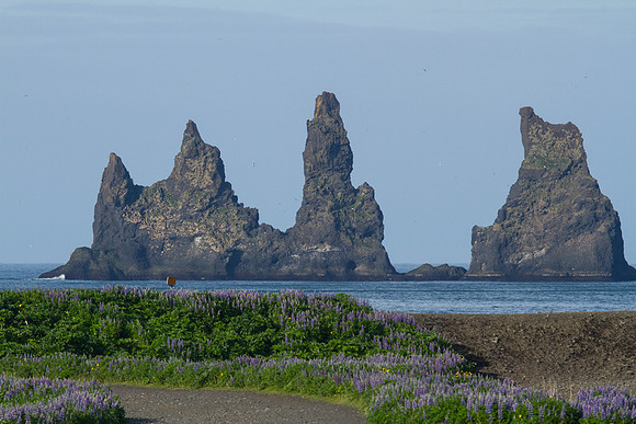 Reynisdrangar Sea Stacks