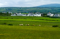 Bushmills Countryside - Copy