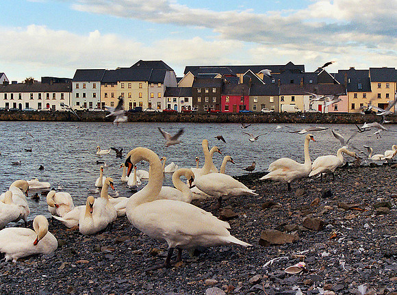 Galway Bay