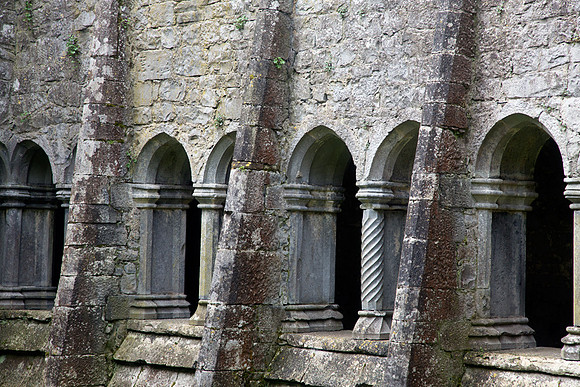 Quinn Friary #4