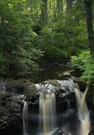 Glenarriff Park #2 - Copy