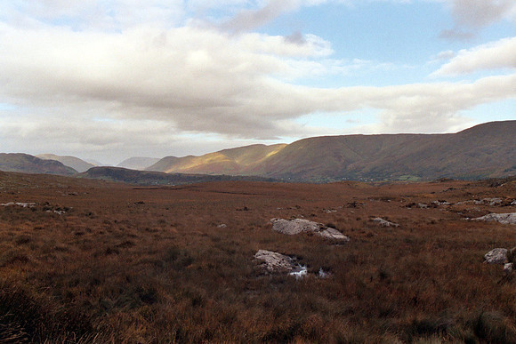 Connemara #14
