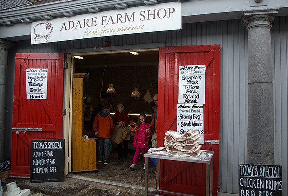 Milk Market #4