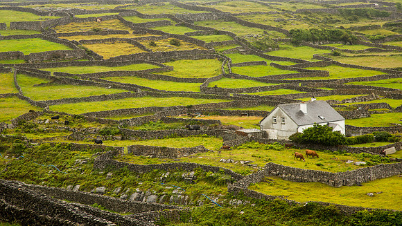 Inisheer #2 - Copy