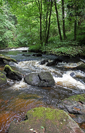 Glen Clare #3