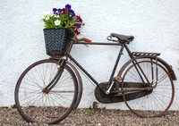Bike at Hezlett House - Copy