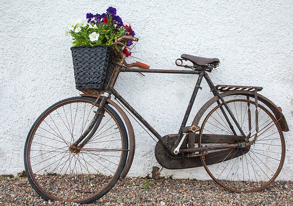 Bike at Hezlett House - Copy