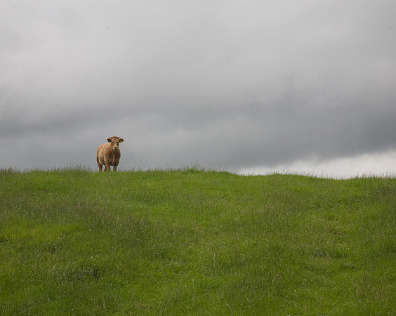 Fool on the Hill