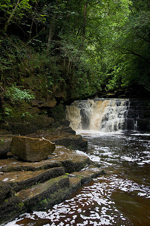 Clare Glen
