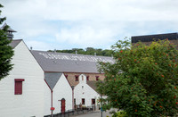 Bushmills #3 - Copy