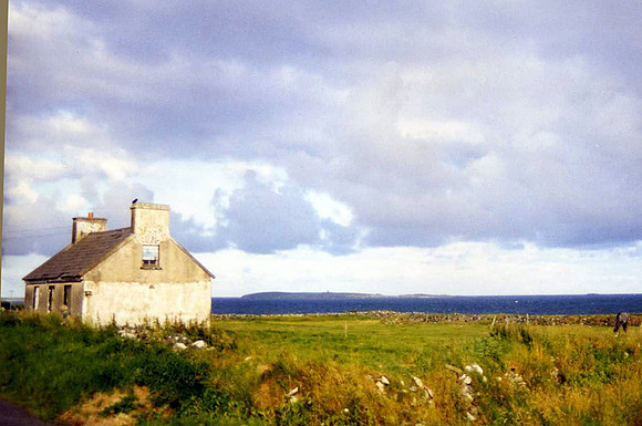 Quilty