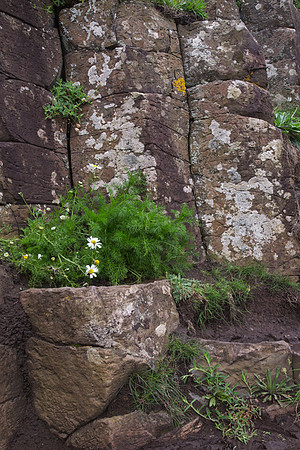 Giant's Causeway #10 - Copy