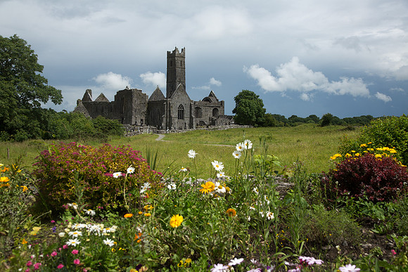 Quinn Friary