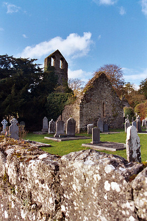 Adare Friary Ruins #4