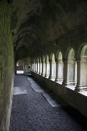Quinn Friary #5