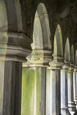 Quinn Friary #3