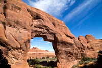 Arches Pine Tree Arch 5