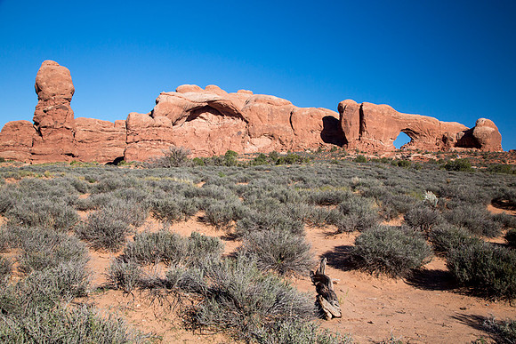 Arches Windows