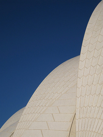 Curves #4