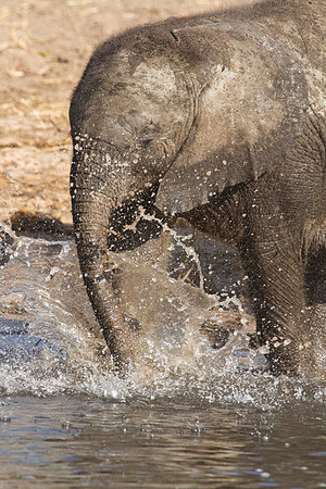 Splashing Around