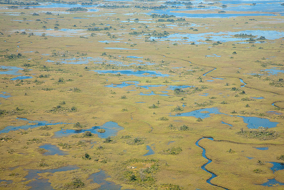 Botswana from the Air #11