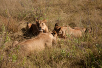 After the Kill #1
