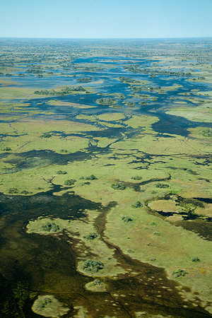 Botswana from the Air #13