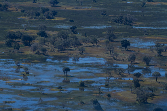 Botswana from the Air #17