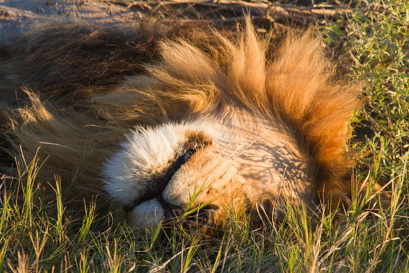 Rest Time