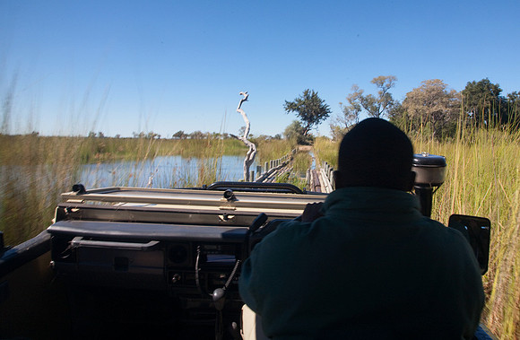 Crossing the Bridge at Xakanaxa