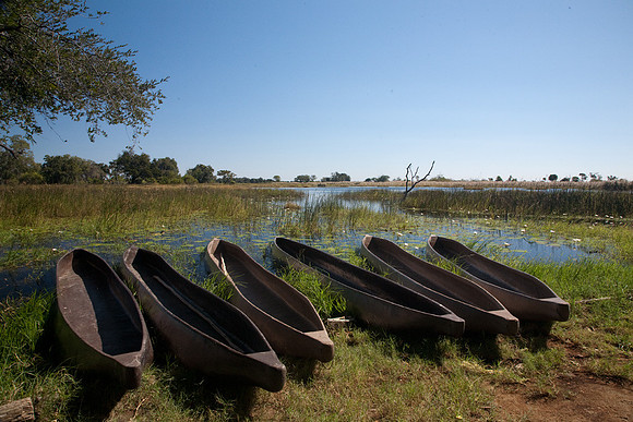 Canoes at Pom Pom Camp