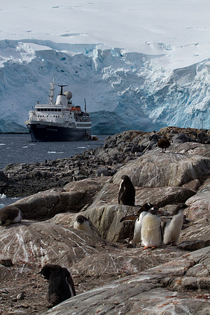 Anchored at Port Lockroy
